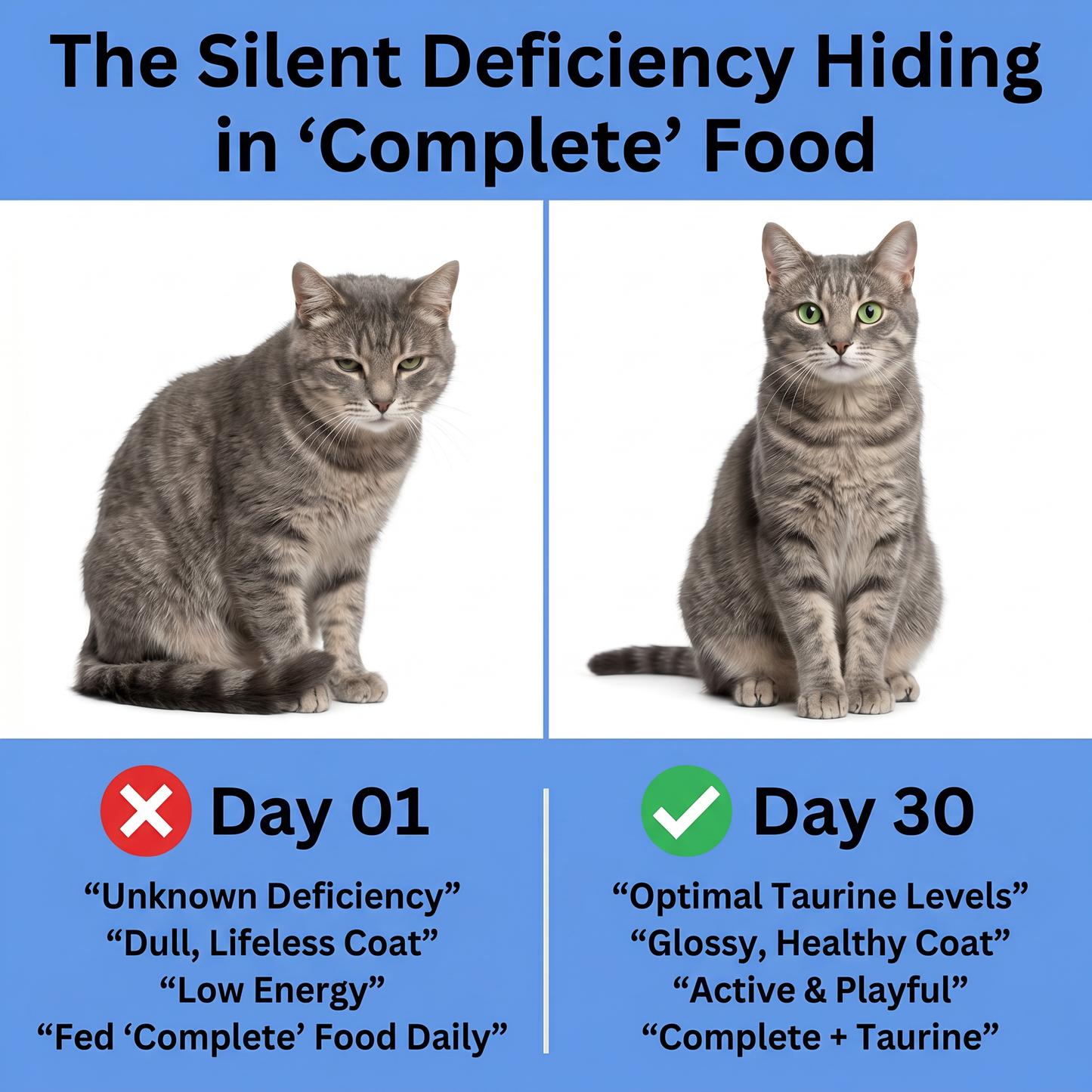 Velvana™ Cat Taurine Supplement